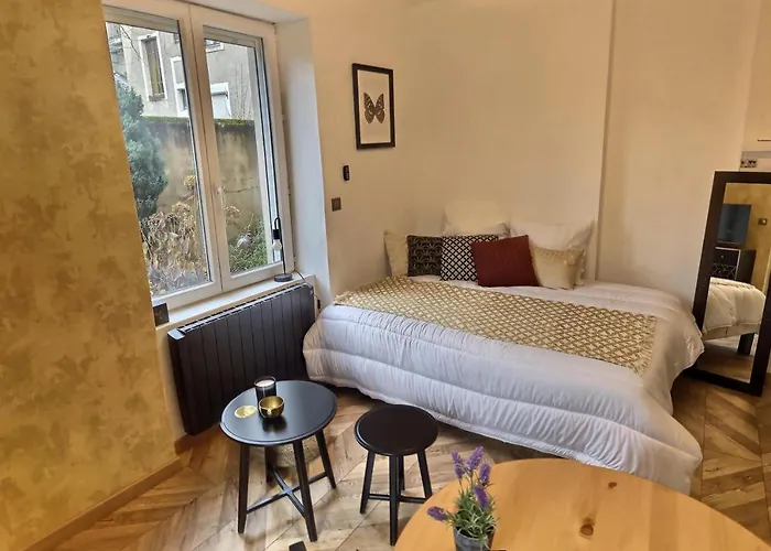 Le Mangin - Studio avec terrasse